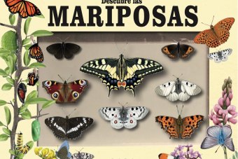 maquetador-editorial_-ficticios-9