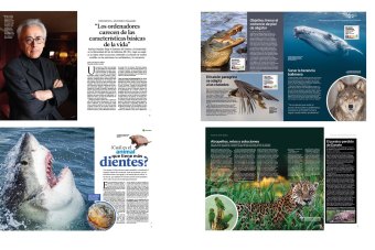 maquetador-editorial_-MaqDise-2