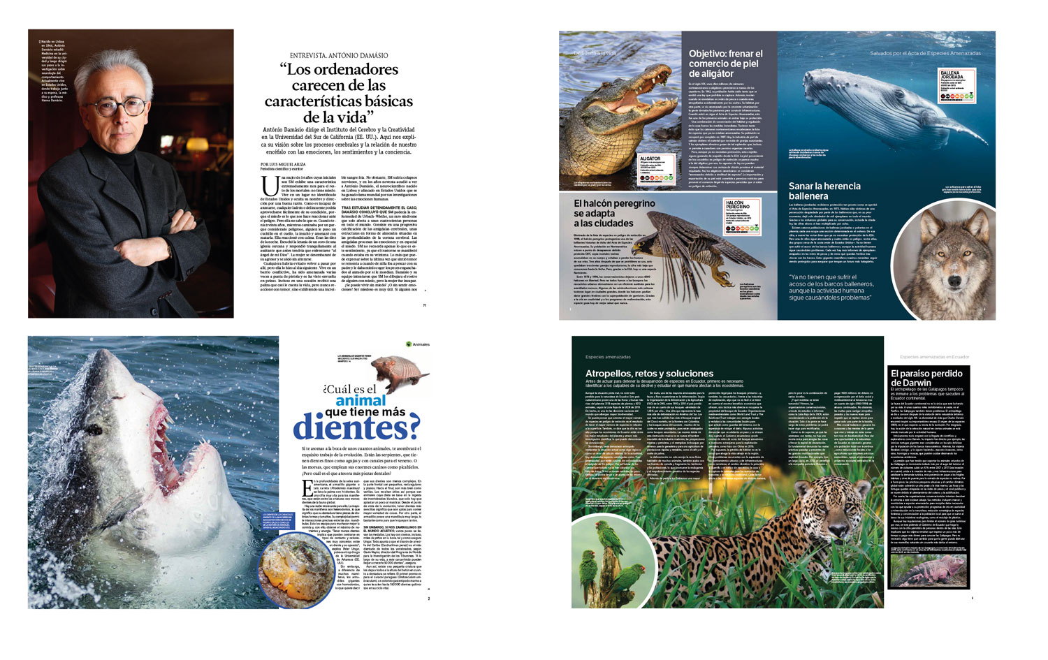 Maquetador editorial Barcelona